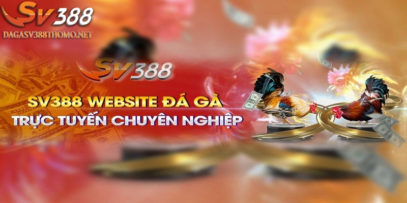 gioi-thieu-sv388-thanh-tich