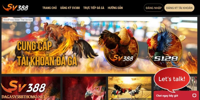 tin-tuc-da-ga-luat-dau